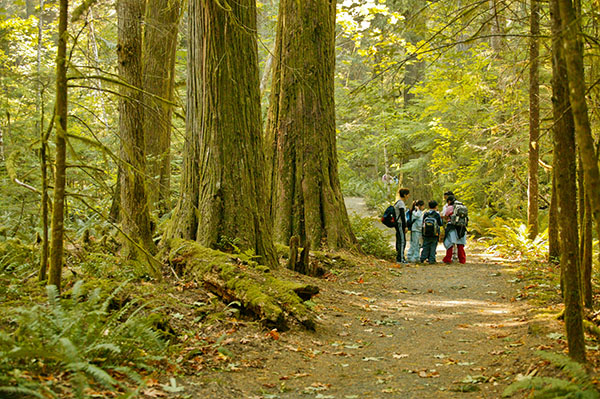 Students at the North Cascades Institute.