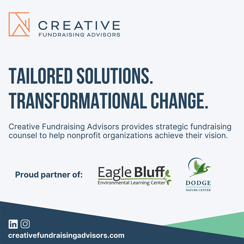 Creative Fundraising Advisors