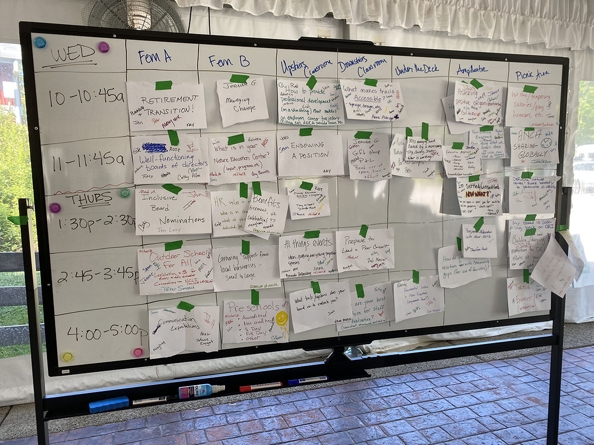 Whiteboard-web