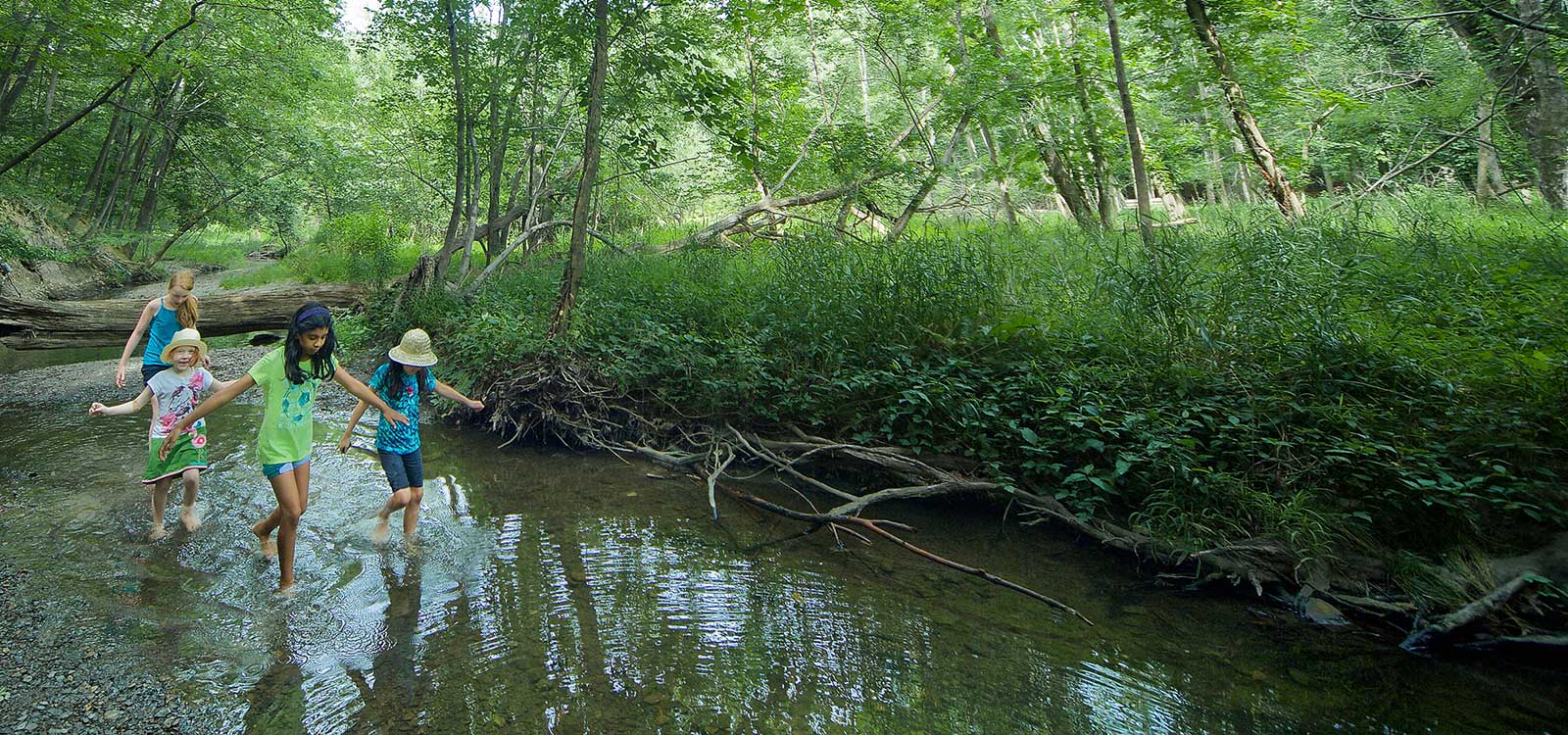 Photo courtesy of Warner Park Nature Center in Nashville, Tennessee.