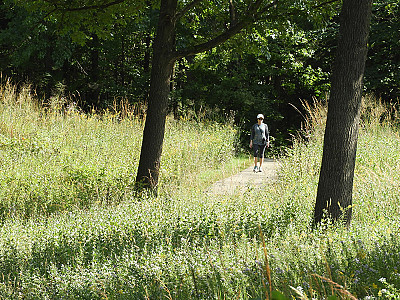 Meeting the Needs of Nature Center Visitors