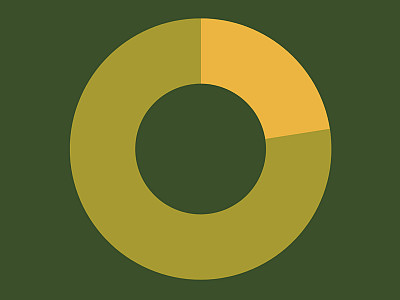 The ANCA Culture Survey: An Overview