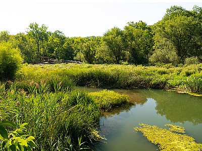 Nature Centers Work Toward Equitable Compensation